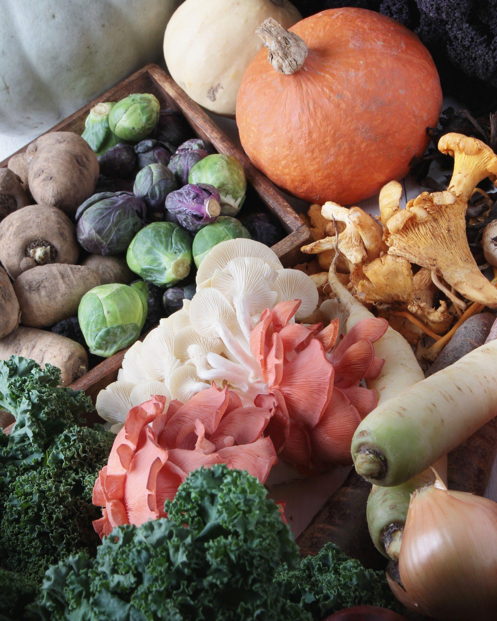 Barcelona Chefs Reveal 5 Peak-Season Recipes Using Local July Produce