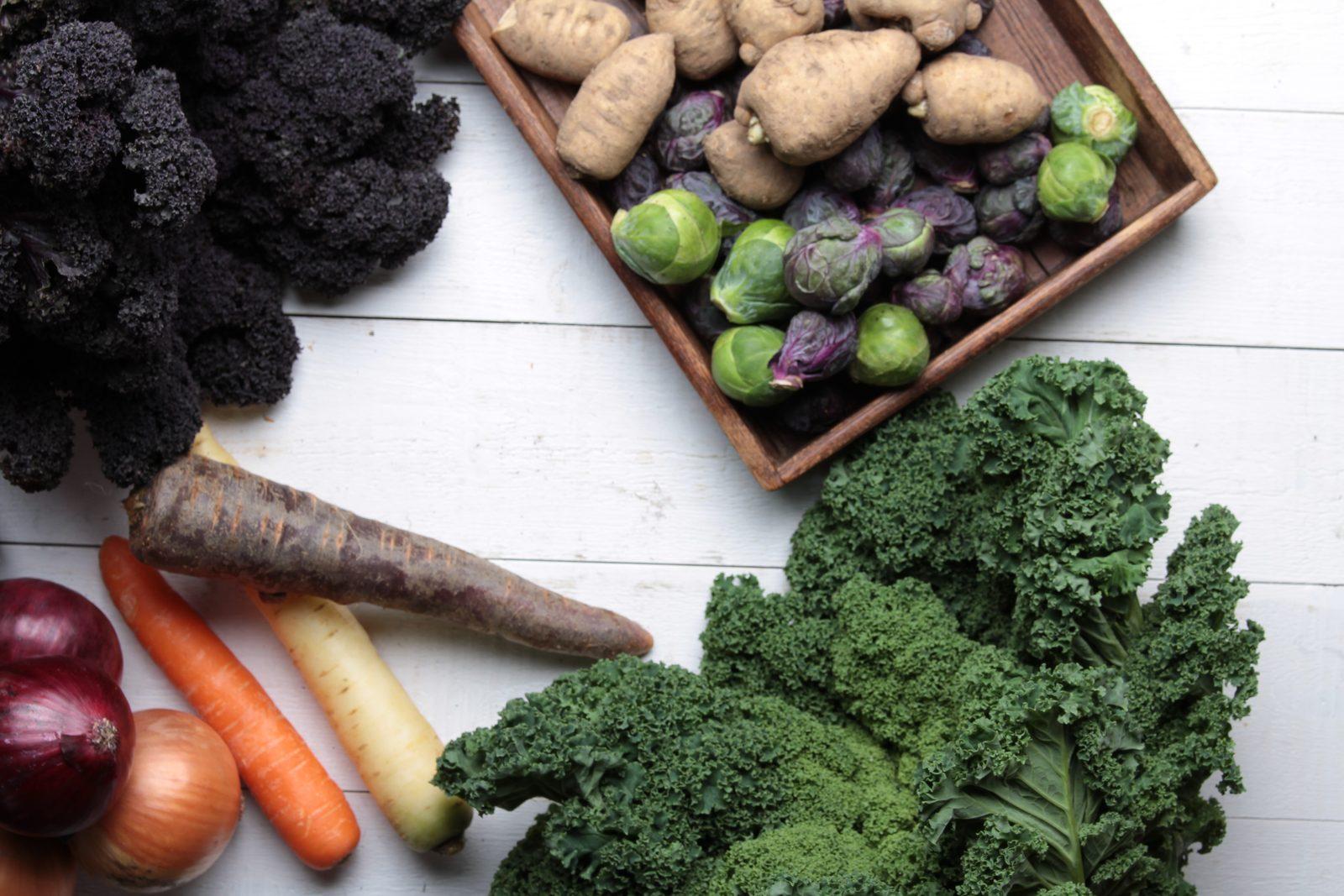 Barcelona Chefs Share 5 Summer Recipes Using Peak-Season Local Produce