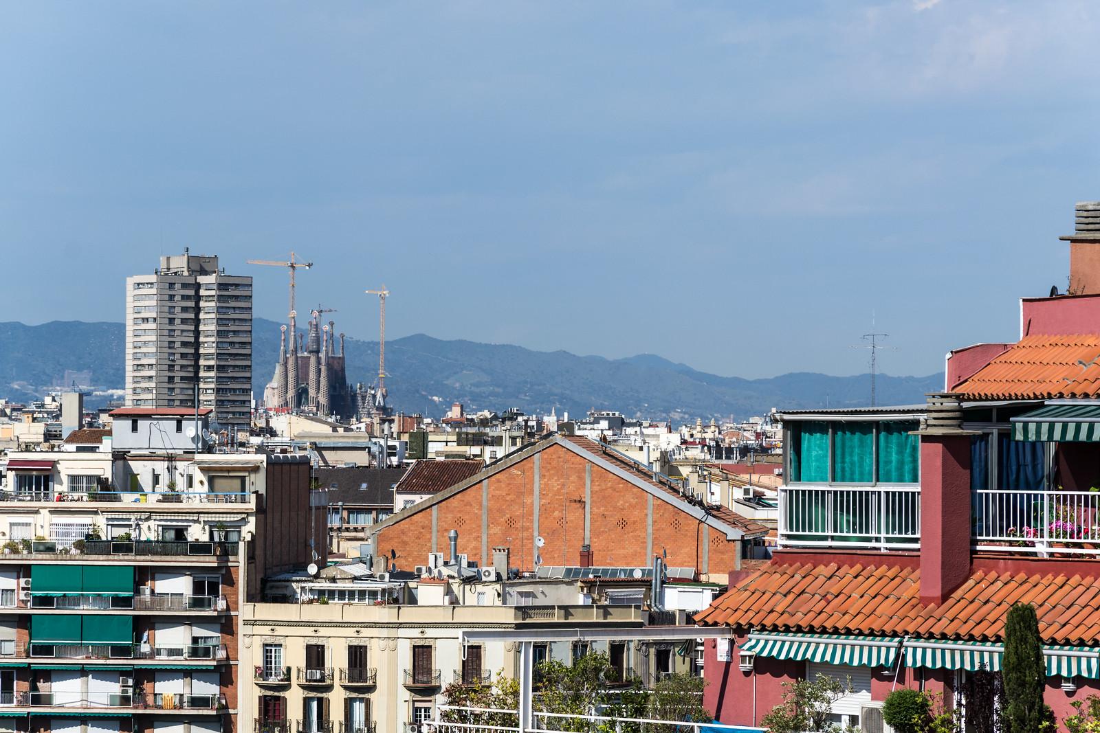 Barcelona's Best Local Experiences: Navigate Culture and Recreation This Weekend